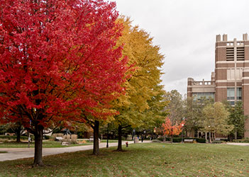 Marquette Raynor Library in Fall
