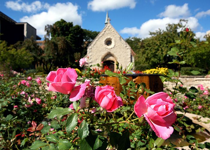 Roses in front of the St. Joan of Arc Chapel