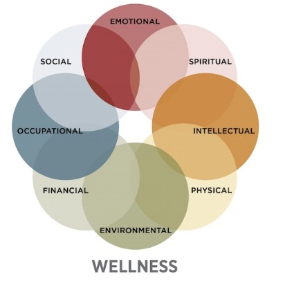 dimensions of wellness graph